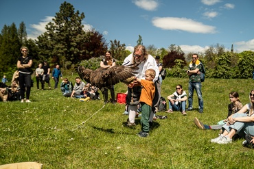 Foto ve fotogalerii