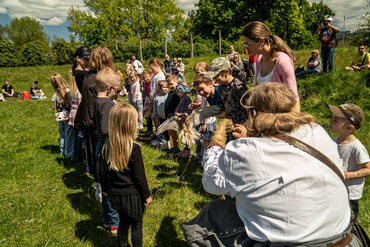 Foto ve fotogalerii