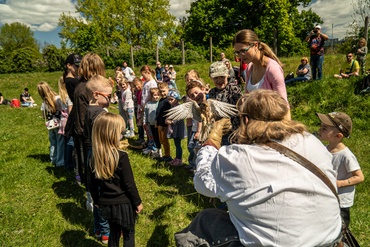 Foto ve fotogalerii