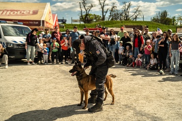 Foto ve fotogalerii