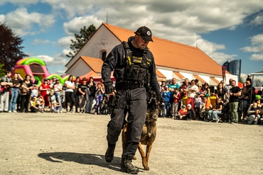 Foto ve fotogalerii