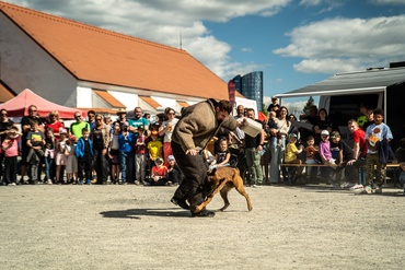 Foto ve fotogalerii