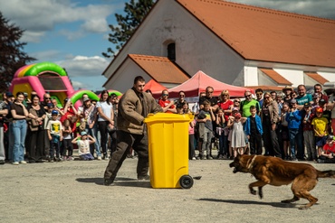 Foto ve fotogalerii