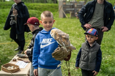 Foto ve fotogalerii